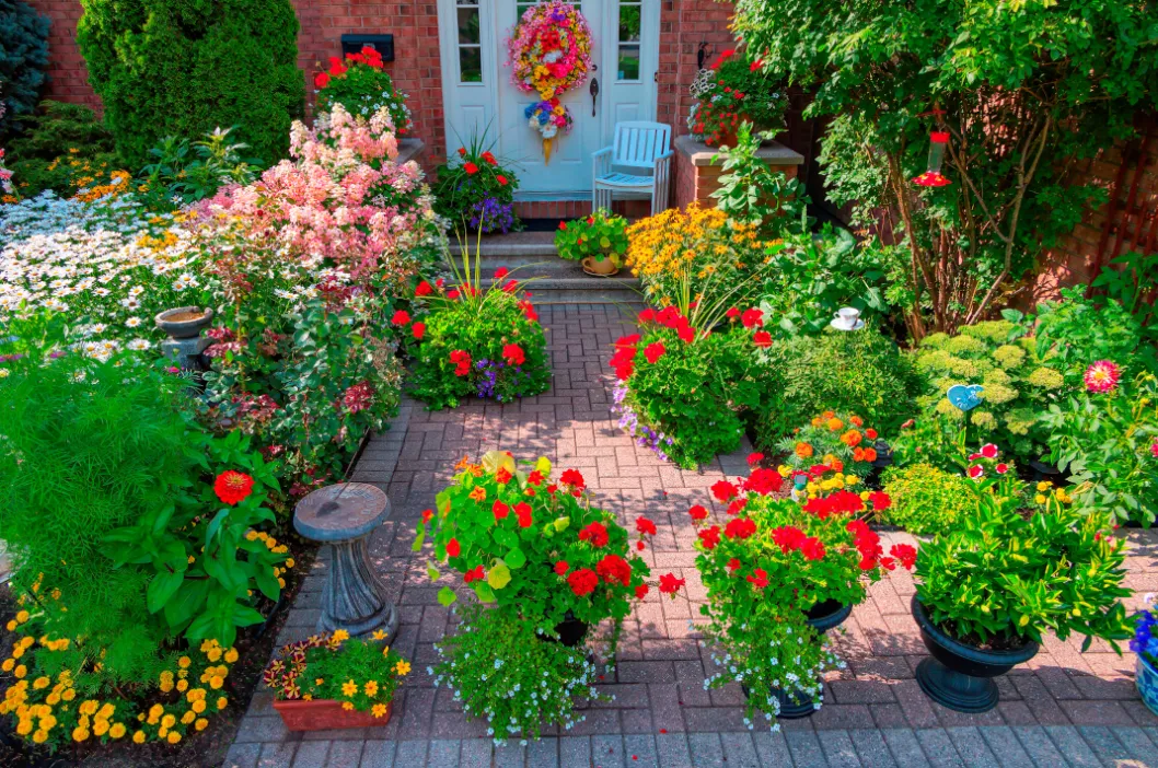 How to Grow a Beautiful Flower Garden in Any Climate