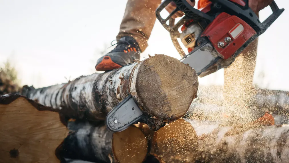 Danger on the Clock The Riskiest Jobs and How the Law Has Your Back 