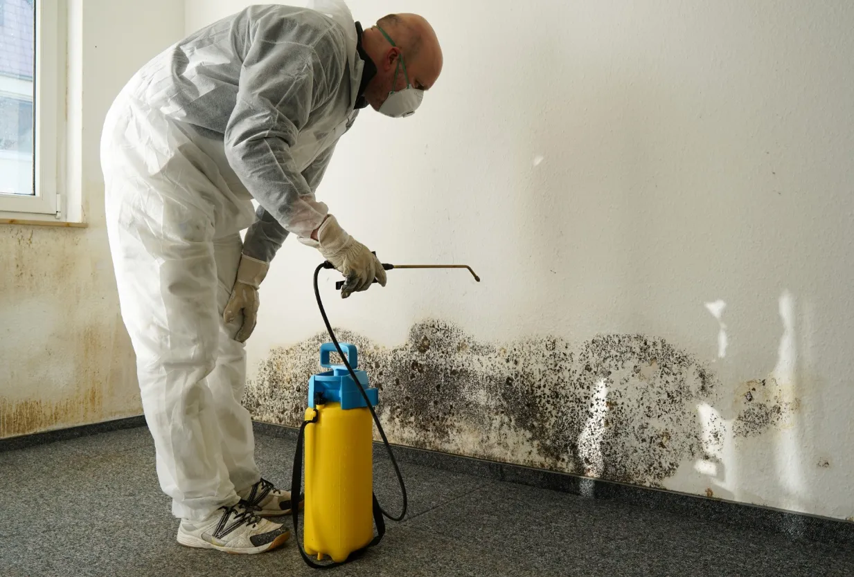 Mold Control from Start to Finish Your Complete Guide to Inspection and Remediation
