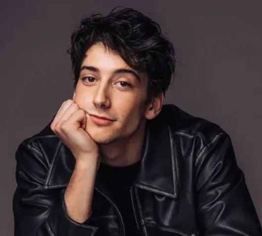 Milo Manheim's Wife. Age, Height, Weight, Net Worth, Career, And More